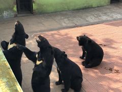 -西霞口神雕山野生动物世界