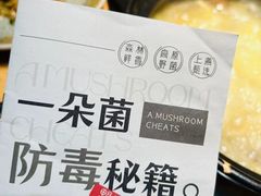 -一朵菌·野生菌探索家火锅(南亚店)
