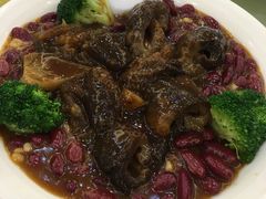 -顺德佬(石厦店)