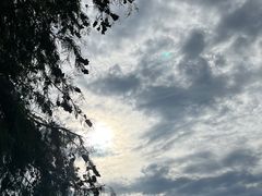 -洱海月湿地公园