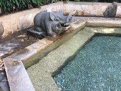 -厦门日月谷温泉渡假村