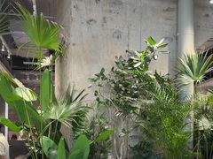 -卡朋西餐(宝安大仟里店)
