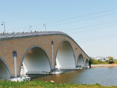 -宁波杭州湾国家湿地公园