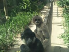 -石家庄市动物园