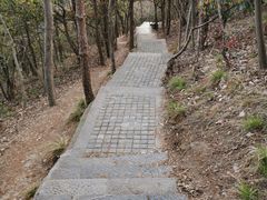 -紫金山天文台