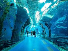 -波塞冬旅游度假区