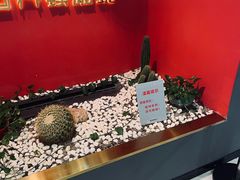-不翻台·无国界铁板烧(北国先天下店)