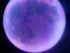 -天津梵高星空艺术馆(天河城旗舰店)