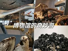 -自然博物馆(地铁站)