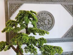 -呼吸森林·生态农庄农家乐私房菜