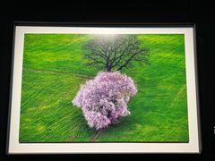 -罗红摄影艺术馆