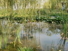 -永定河休闲森林公园