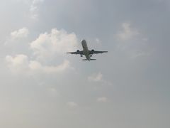 -空港花田景区