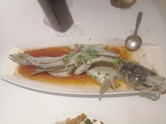 -新疆兵团食府清真(马连道店)