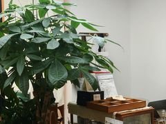 大堂-Line 咖啡(石厦花园店)