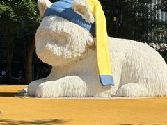 -深圳湾万象城(南山店)