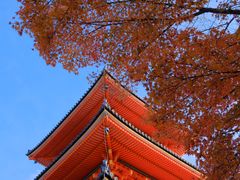 -常寂光寺
