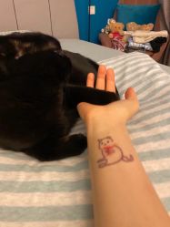 -飛凡TATTOO纹身•原创