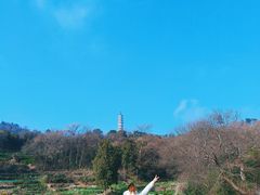 -巢湖姥山岛