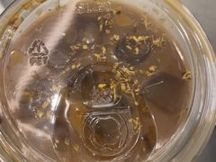-Seesaw Coffee(上海国金中心店)