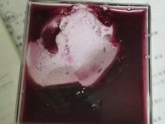 -康欣面包生日蛋糕(幸福店)