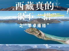 -羊卓雍措