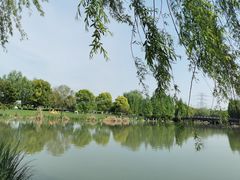-九里河湿地公园