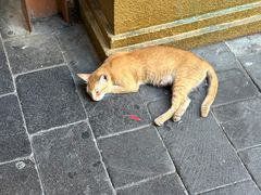 -迪拜黄金市场