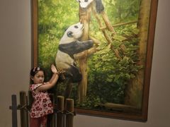 -成都泰迪熊博物馆