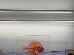 -大连自然博物馆