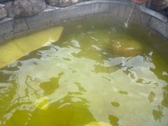 -余姚阳明温泉山庄