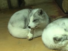 -大连圣亚海洋世界