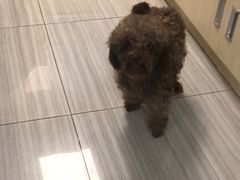 -纳吉亚猫专科动物医院(康都外科中心)
