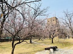 -香山公园