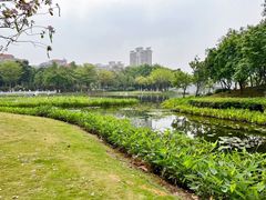 -映月湖公园