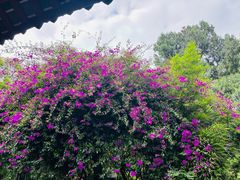 -成都杜甫草堂博物馆