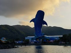 -珠海长隆海洋王国