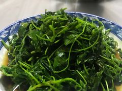 -阿马土菜馆