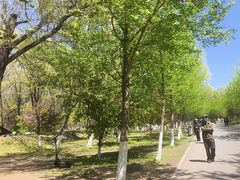 -长白岛森林公园