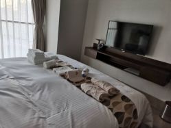 -禧月荟S月子中心(侨城店)