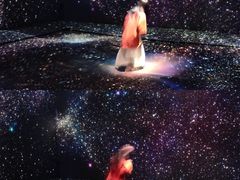 -澳门威尼斯人综合度假区