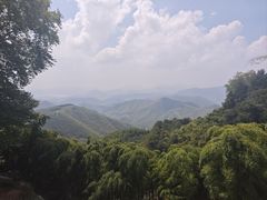 -莫干山风景区