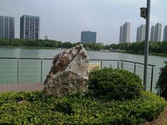 -南翔镇银翔湖公园