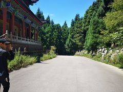 -武陵山森林公园