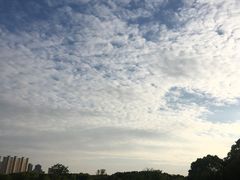 -昆山城市生态森林公园