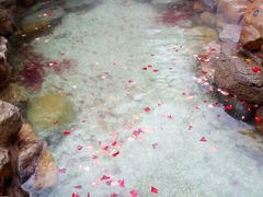android_upload_pic-厦门日月谷温泉渡假村