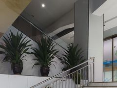 -美可普口腔医院(东街分店)