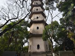 -江心屿景区