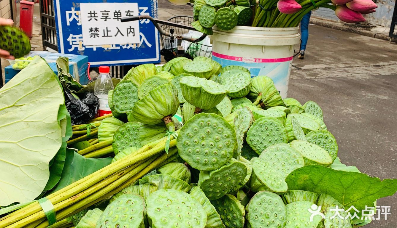 亮马河大厦的后门有个摊位卖莲蓬和荷花荷叶