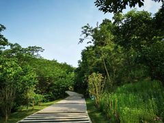 -镇江市南山风景名胜区竹林景区